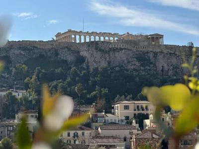 The Dolli at Acropolis - 20
