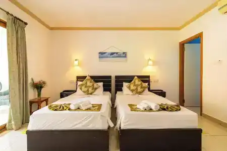 Forest Lodge - 30