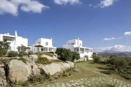 Naxian Collection - 38