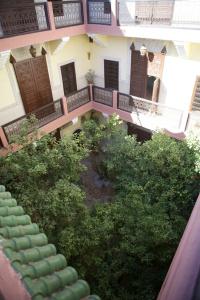 Riad Sidi Ayoub - 0
