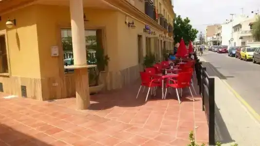 Paloma - 20