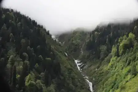 Ayder Doga Resort - 187