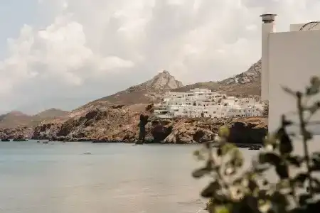 Naxos Rhyton - 84