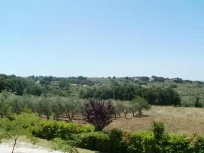 Agriturismo Le Quattro Stagioni - 15