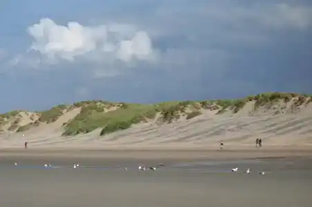 Approach - 12