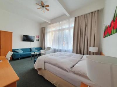 Jana / Pension Domov Mládeže - 48