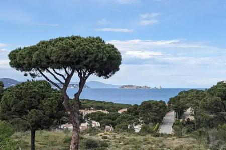 Sa Punta - 34