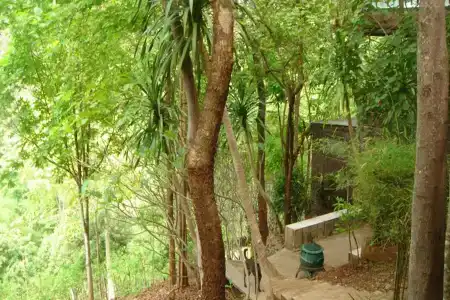 Sam's Jungle - 0