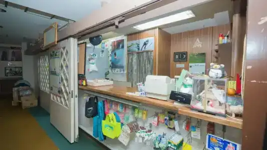 Aspen Shiga - 27