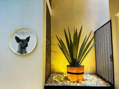Cadillac Boutique - 27