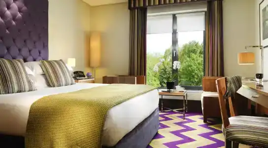 The Fitzwilliam - 21