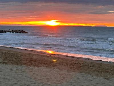 Palm Beach - 16