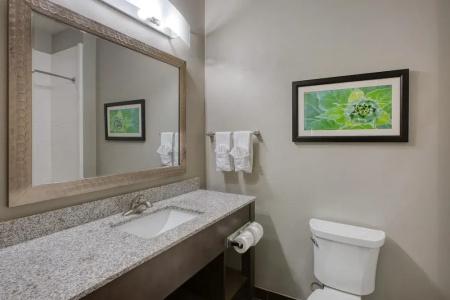 Best Western Plus Tech Medical Center Inn - 68