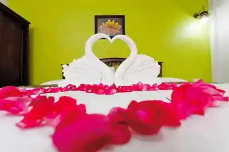The Mouth Resort - Sha Extra Plus - 78
