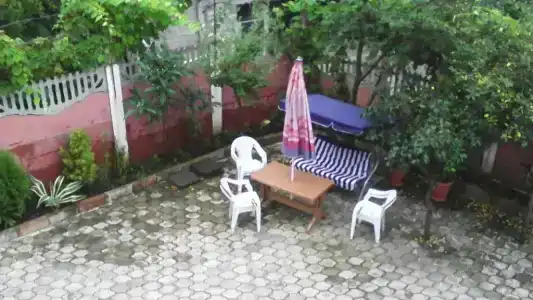 Sarpi In - 10