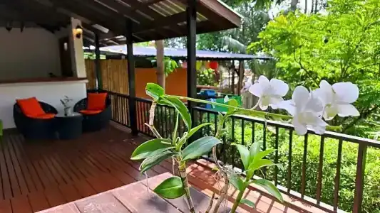 Alpha Gay Resort & Spa - 188