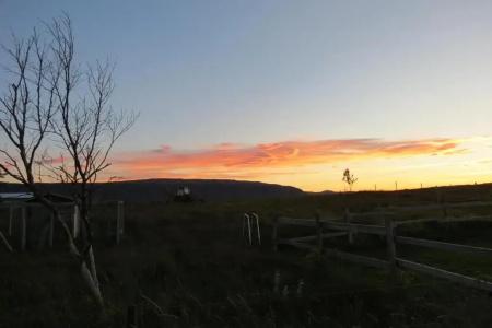 Country Dream - Langholt 2 - 182