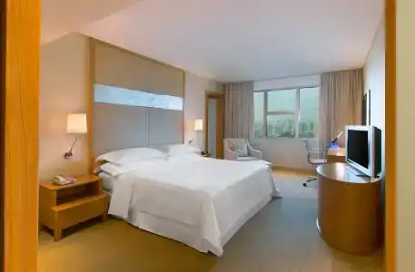 Four Points by Sheraton Shenzhen - 100