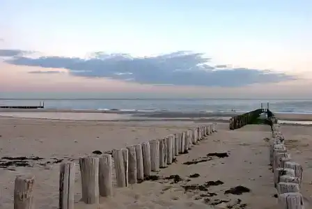 City2Beach - 10