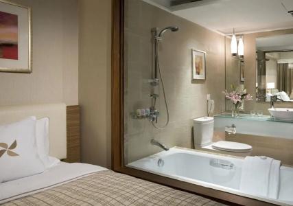 Four Points by Sheraton Shanghai, Pudong - 7