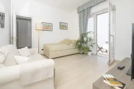 Cavalluccio Marino - 3