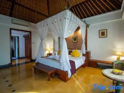 Alam Puri Art Museum Resort & Spa - 126