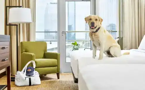 Embassy Suites by Hilton Nashville - 64