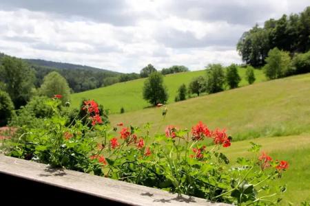 Gassbachtal - 34