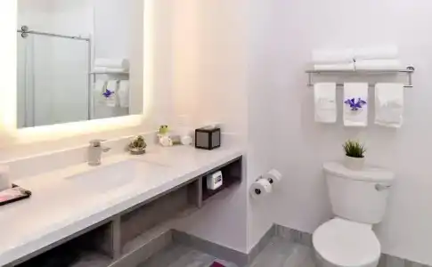 Holiday Inn Express & Suites San Diego - Mission Valley, An Ihg - 4