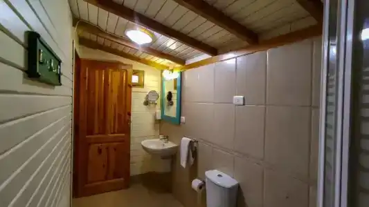 Shams & Dive Centre - 77