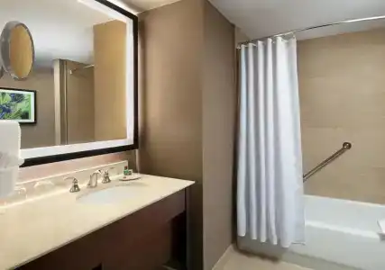 Sheraton Dallas - 7