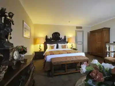 Hôtel de la Cigogne - 26