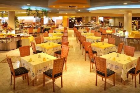 Kaktus Albir - 33