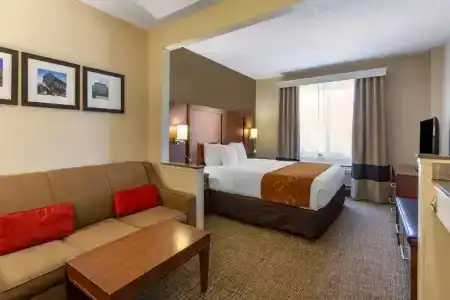 Comfort Suites Walnut Creek - 58