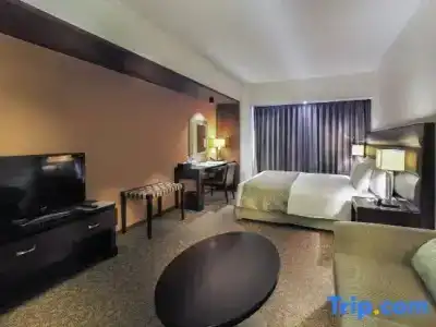 Ibis Styles Sapporo - 78