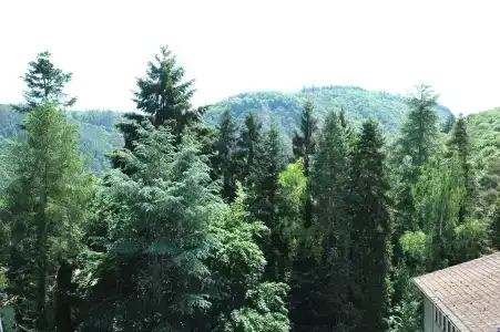 Engel - 18