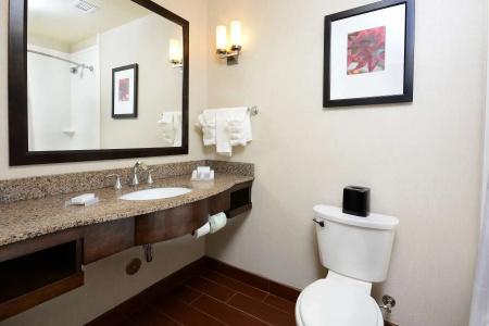 Hilton Garden Inn Airport - 9