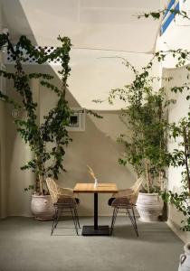 Edem Luxury - 112