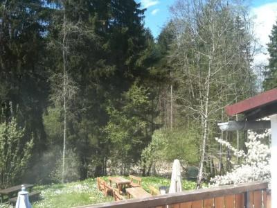 Landgasthof Zum Alten Reichenbach - 31
