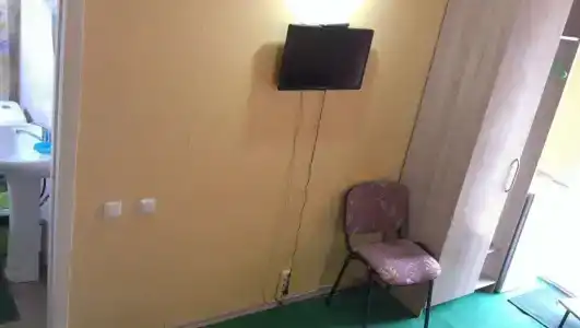 Подсолнухи - 55