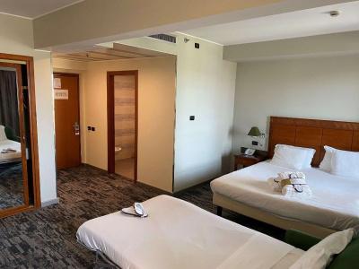 Mercure Leonardo da Vinci Rome Airport - 54