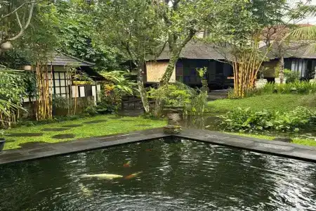 Ubud Sari Health Resort - 16