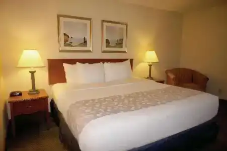 La Quinta Inn by Wyndham Indianapolis Airport Executive Dr - 18