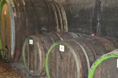 Weingut H. Gindorf - 8
