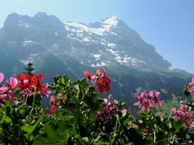 Alpenhof - 13