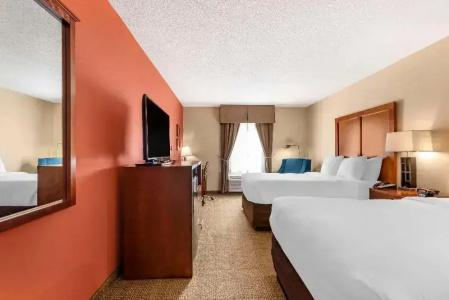 Comfort Inn Civic Center - 53