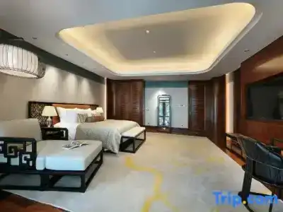 Hangzhou Dahua - 110