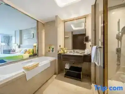 Wyndham Grand Plaza Royale Chongqing - 38