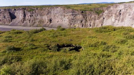 Dettifoss - 26