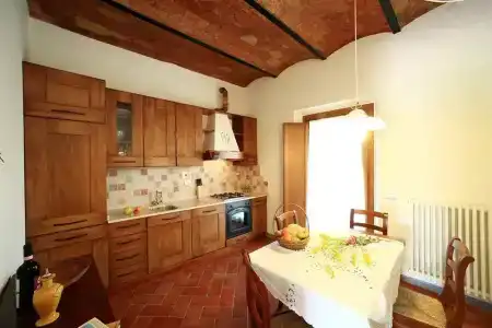 Gatto Bianco Tizzauli - 17